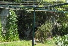 Watsonia Northresidential-landscaping-18.jpg; ?>