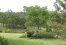 Watsonia Northresidential-landscaping-40.jpg; ?>
