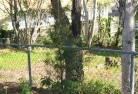 Watsonia Northresidential-landscaping-48.jpg; ?>