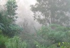 Watsonia Northresidential-landscaping-50.jpg; ?>