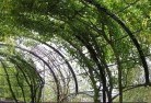 Watsonia Northresidential-landscaping-57.jpg; ?>