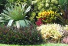 Watsonia Northresidential-landscaping-58.jpg; ?>