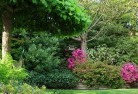 Watsonia Northresidential-landscaping-74.jpg; ?>