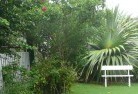 Watsonia Northresidential-landscaping-8.jpg; ?>